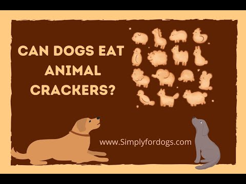 Can Dogs Eat Animal Crackers?