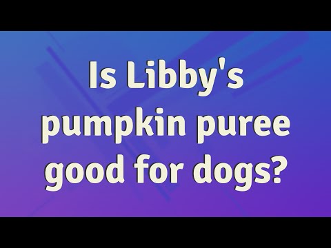 Is Libby's pumpkin puree good for dogs?