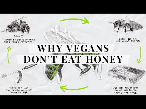 Why don't vegans eat honey?