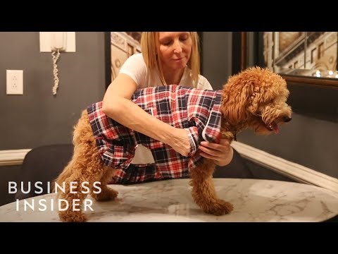 Why Americans Spend So Much Money On Pets