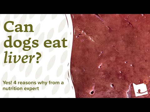 Can Dogs Eat Liver? YES! 4 Reasons Why From a Nutrition Expert