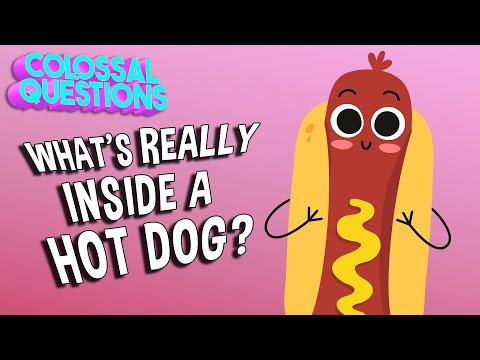 What’s REALLY Inside a Hot Dog? | COLOSSAL QUESTIONS