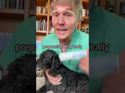 Preparation H for Pets: Great for Wound Healing!