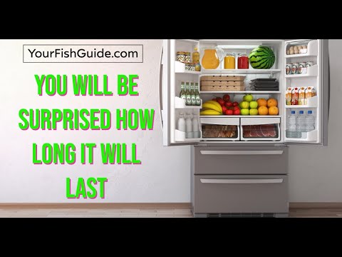 How Long Can Frozen Fish Last in the Freezer? | Here is Your ANSWER!