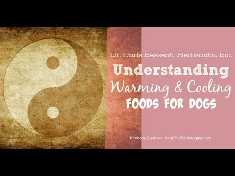 Understanding Warming and Cooling Foods for Dogs