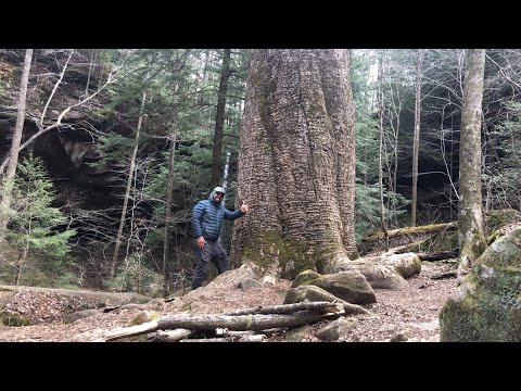Shakedown Hike in Alabama, Getting Ready for the Appalachian Trail!
