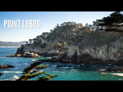Point Lobos State Natural Reserve: Exploring 4 of the Park's Best Trails