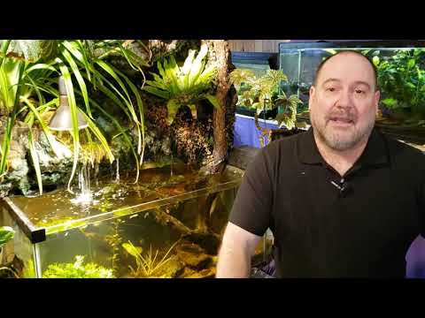 The Truth About Iodized Table Salt In Aquaria