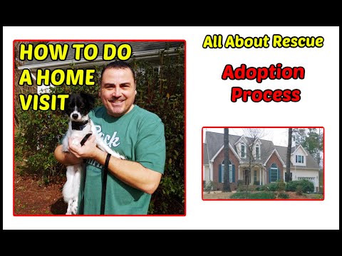 How to do a home visit for dog adoption. Dog rescue home visit video!