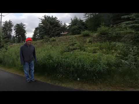 Alaska - Twin Lakes