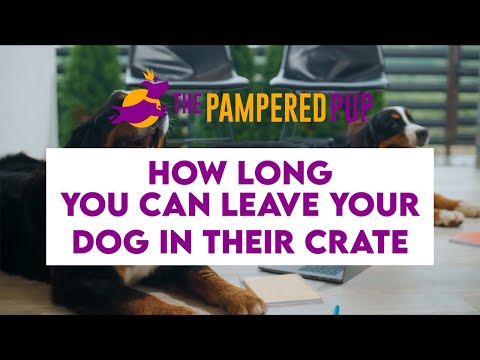 How long can I leave my dog in a crate? Important Crate Training Answers!