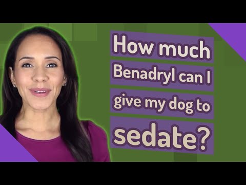 How much Benadryl can I give my dog to sedate?