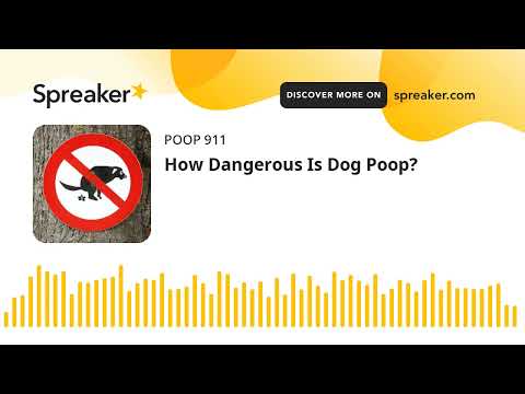 How Dangerous Is Dog Poop?