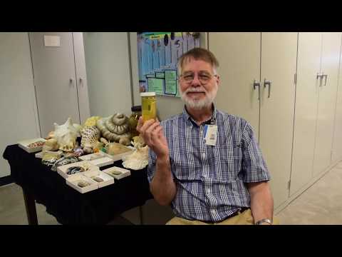 Ask a Scientist: Why are slugs so slimy?