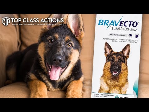 Lawsuit Claims Bravecto Medicines Aren’t Safe For Pets