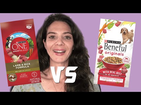 Dog food review: Purina One vs Purina Beneful