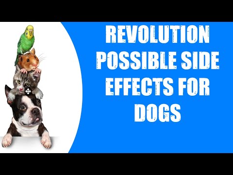 REVOLUTION POSSIBLE SIDE EFFECTS FOR DOGS