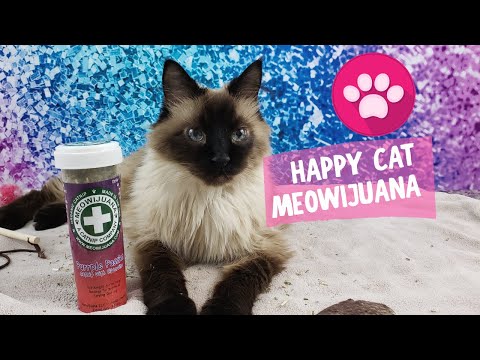 Meowijuana It's catnip for a happy cat