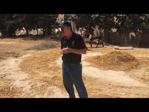 The Threshing Floor in Nazareth