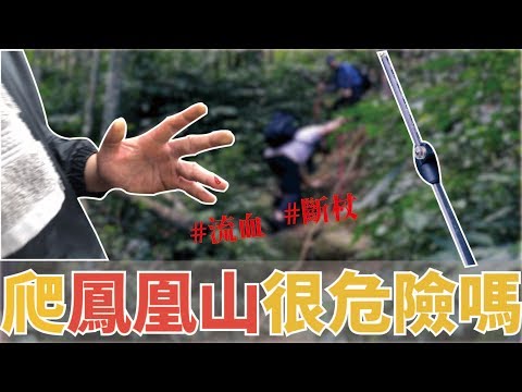 溪頭鳳凰山，潛在的危險!! 新手適合爬嗎?  ＃ RYuan 我是阿元