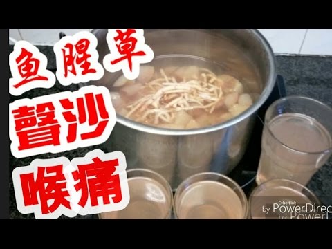 #魚腥草🌾 消炎👍喉嚨痛一流👍 關節炎 周身骨痛 簡單涼水 有治療功效