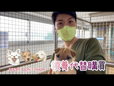 Dr. Marcus x 愛護動物協會