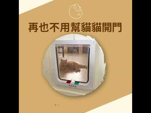 貓狗通用 #寵物貓門 連香港上門安裝 (實木門安裝) #寵物門安裝 #貓門安裝
