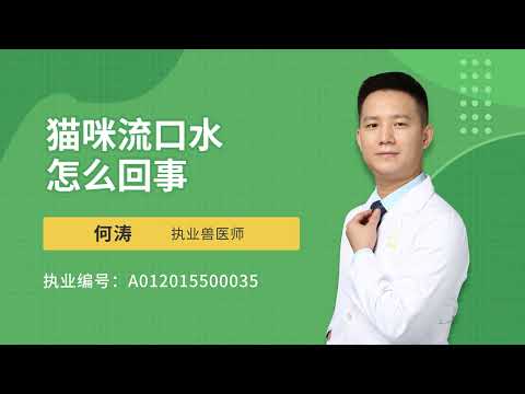 貓咪流口水怎么回事