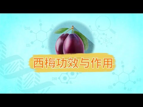 西梅功效與作用 西梅功效與作用