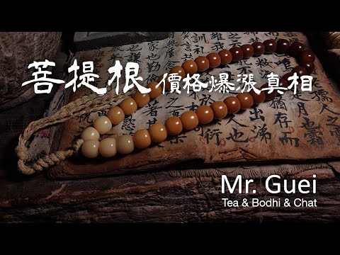 【菩提根價格爆漲真相】價格相差數十上百倍！？暴利？炒作？│手串│佛珠│菩提│文玩│念珠│