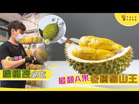 【榴槤控必吃】最靚A果 老樹貓山王｜強記老樹貓山王