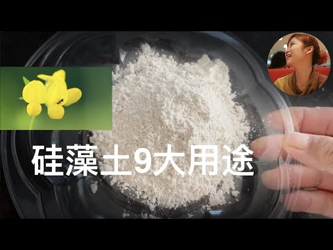 硅藻土9大用途｜可以吃的神奇的粉末｜既是肥料又是杀虫剂