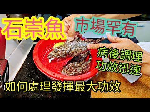 〈職人吹水〉 石崇魚/ 市場罕有/ 石崇魚煲木瓜雪耳豬骨湯 /病後調理功效迅速 /如何處理發揮最大功效 .