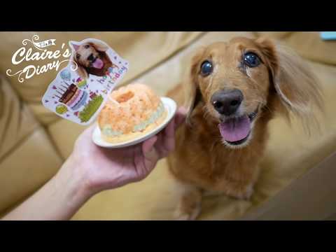 DIY寵物蛋糕.毛小孩鮮食~狗狗蛋糕自己做! 法國 magimix 廚房小超跑