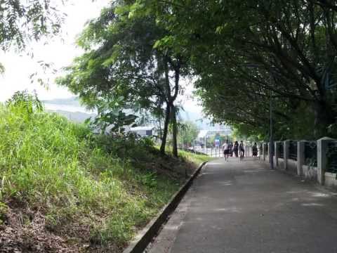靈實醫院往附近交通工具