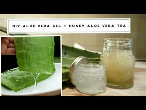 DIY天然芦荟凝胶 + 蜂蜜芦荟茶:美容养颜,润肺清火!